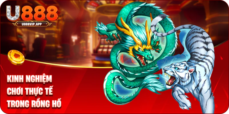 Kinh nghiệm chơi thực tế trong rồng hổ